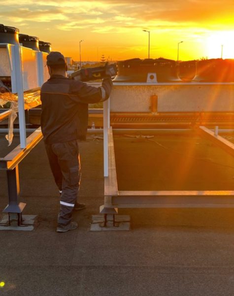 freezer_banner_sunset