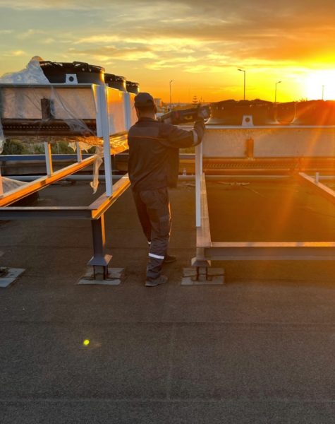 freezer_service_sunset